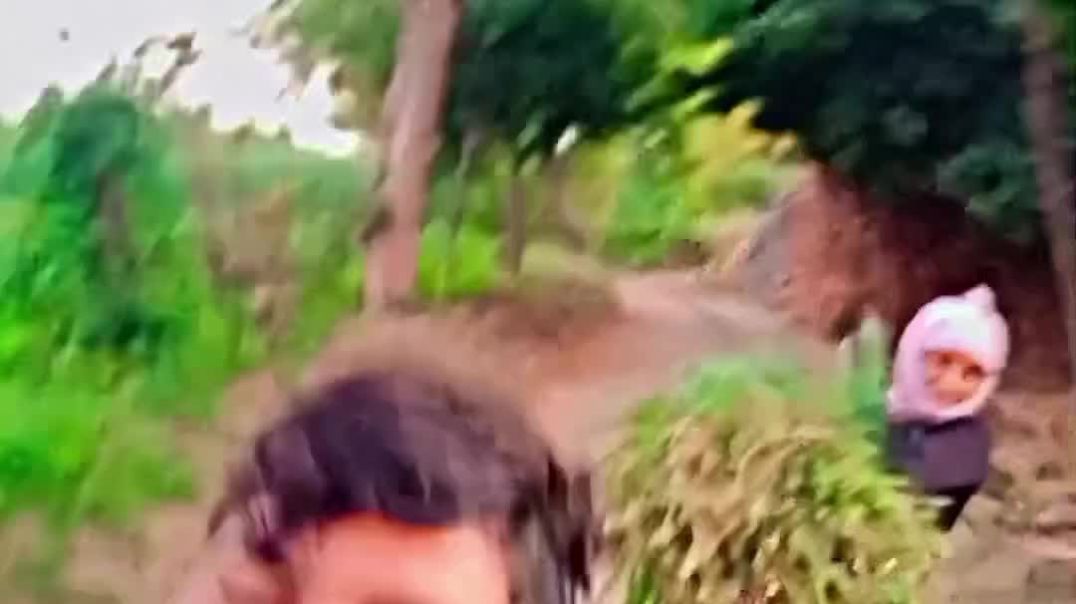 ⁣gujarati short video