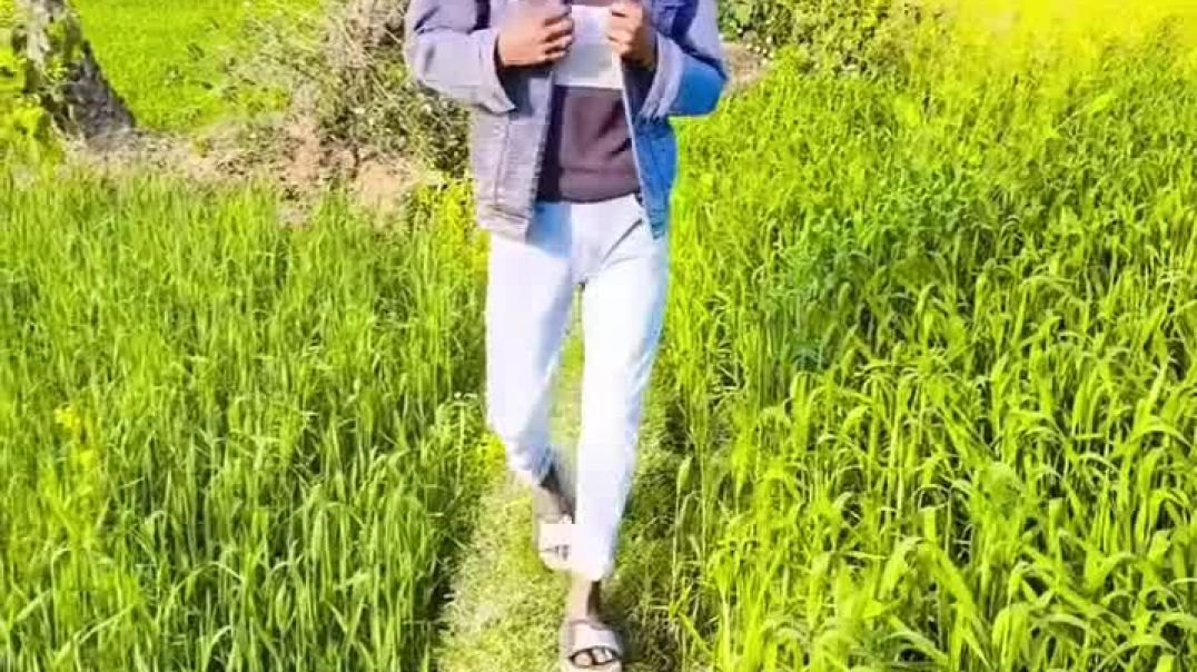 FB_VID_8330975290593803660