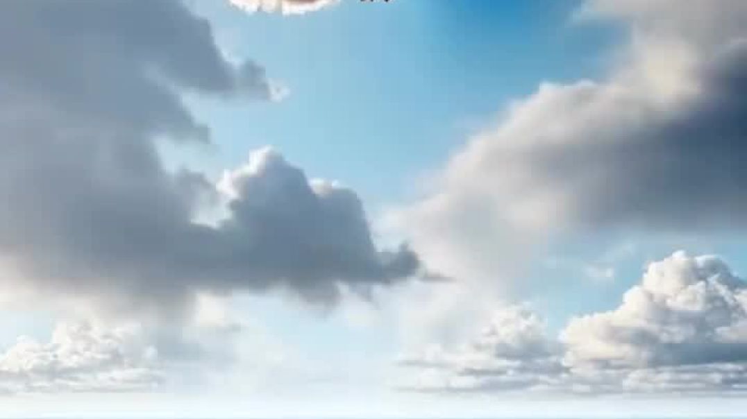 ⁣From KlickPin CF Pin by Mohammed on Pins by you in 2025 _ Animal humour Funny bird pictures Animal m