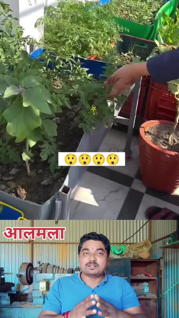 #घरगुती_शेती