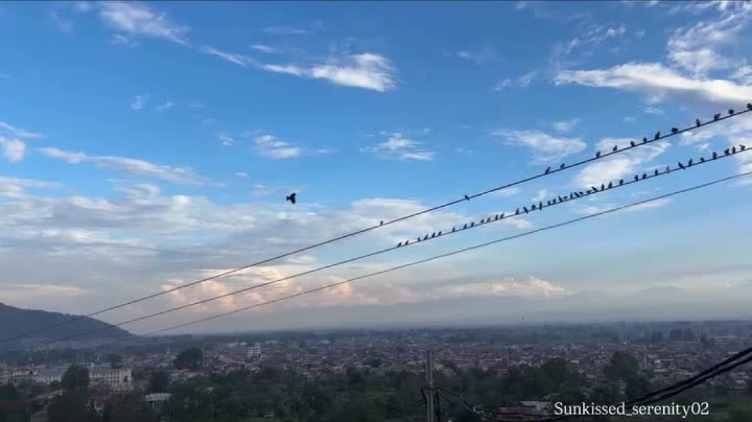 ⁣Beautiful nature video