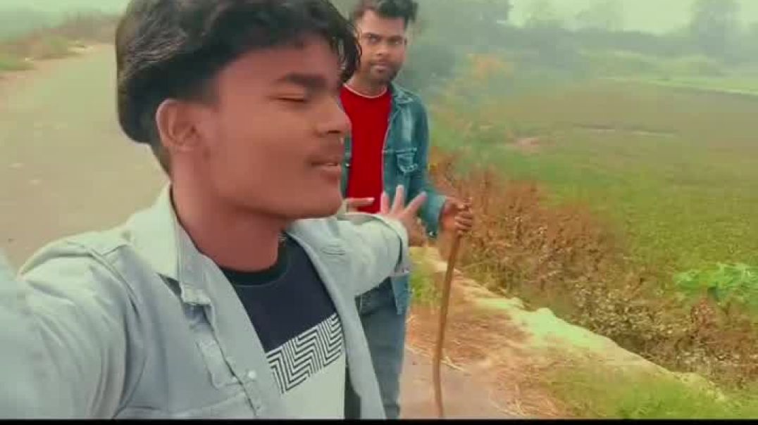 VID_20251207_173920_947