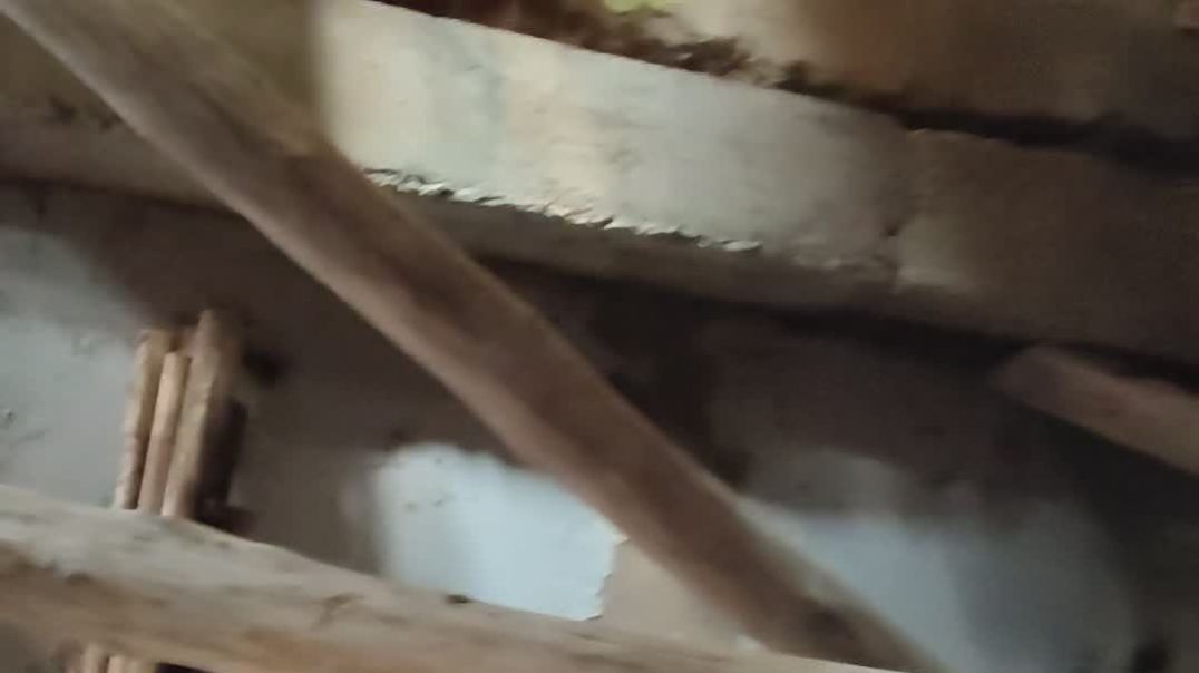 video_20251226_145025