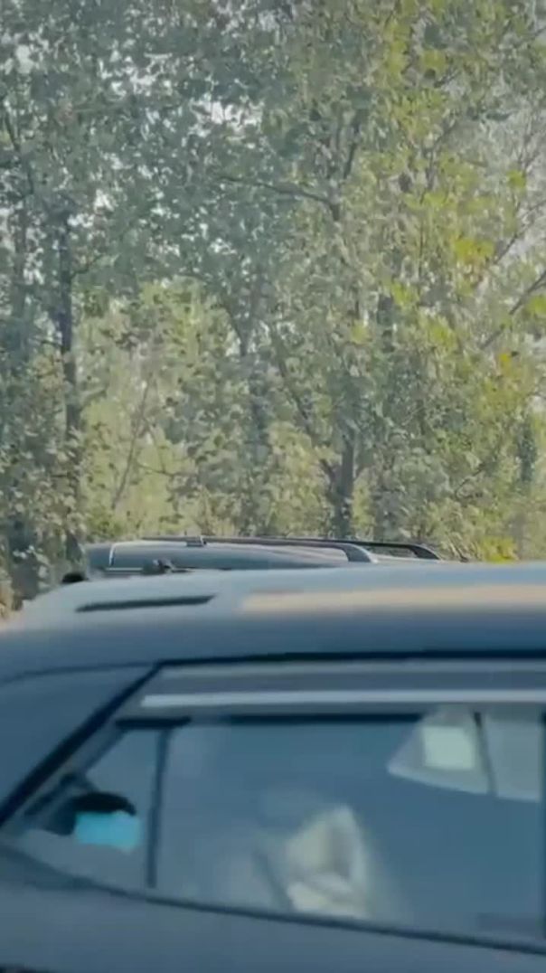 VID_20251126_062511_956