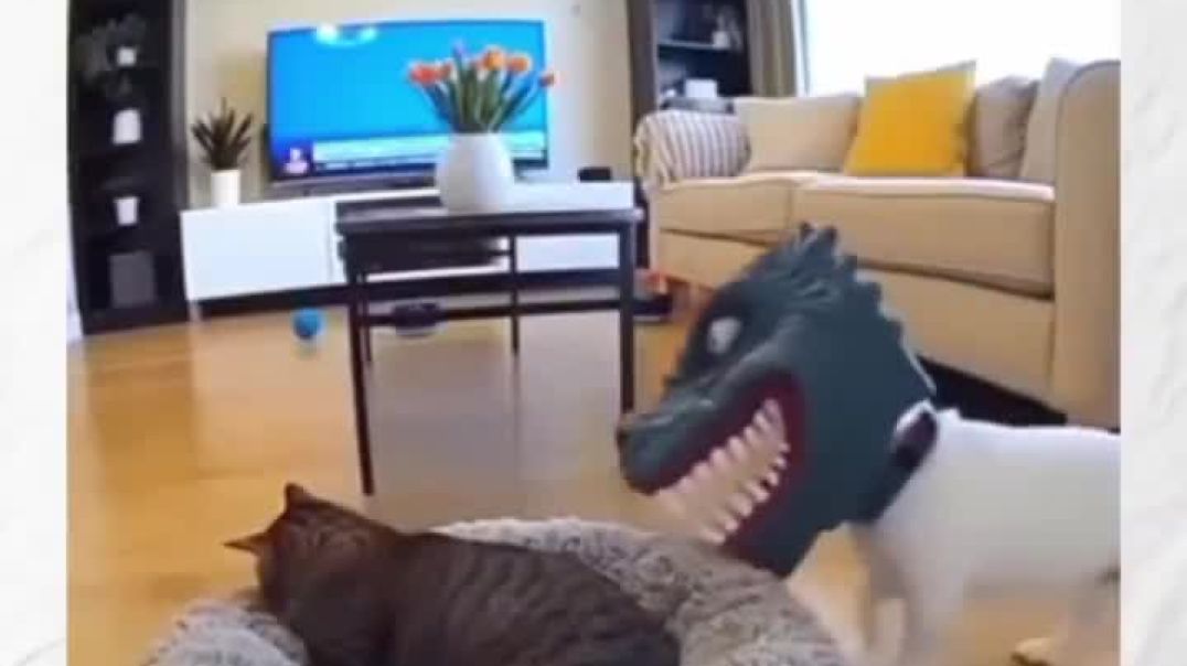 ⁣luckybhardwaj6464-20251213-0001