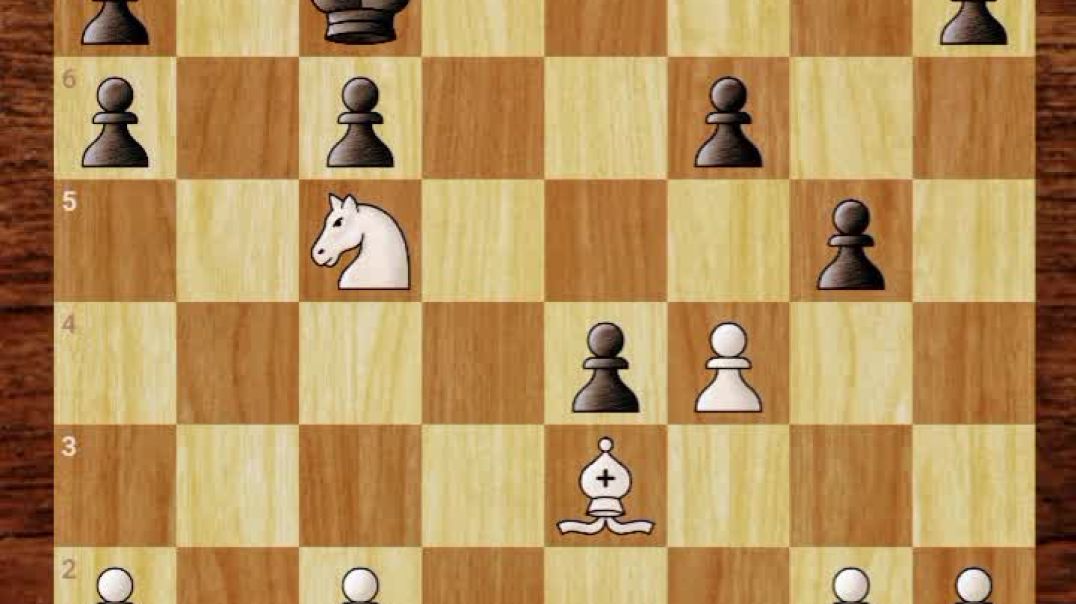 ⁣Chess clip
