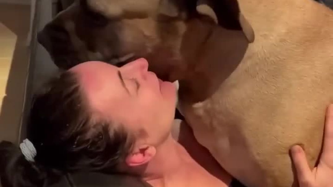 ⁣बिग_बोअरबोएल_को_मम्मा_की_गायकी_बहुत_पसंद_है_#बोअरबोएल_#शॉर्ट्सबीटा_#शॉर्ट्स(720p)