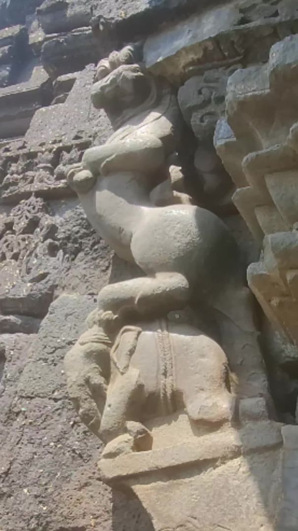 भव्य ब्याल शिल्प सिन्नर महाराष्ट्र