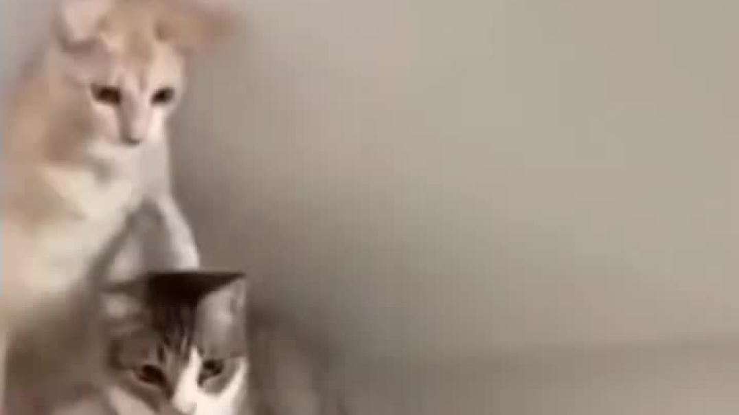 ⁣Funny video 😂🤣🤣🤣🤣🤣