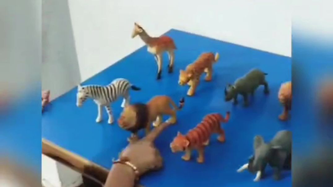 ⁣Bachho ka school project