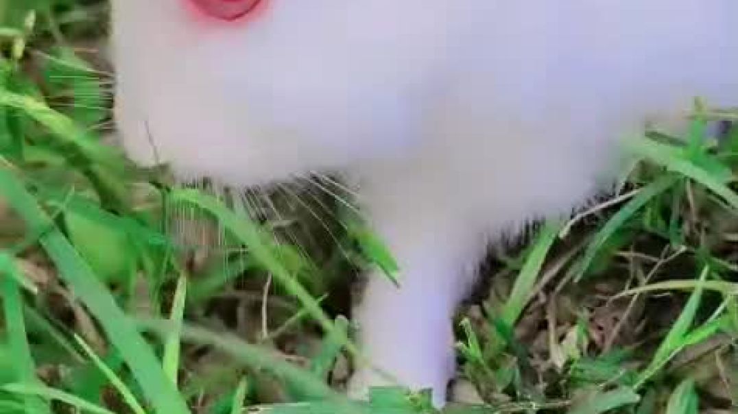 ⁣Cute 🐥🐥 baby