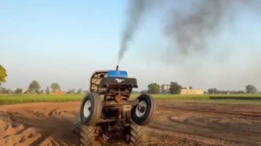 ⁣Chouhan king viral video shorts Chouhan king 🤴