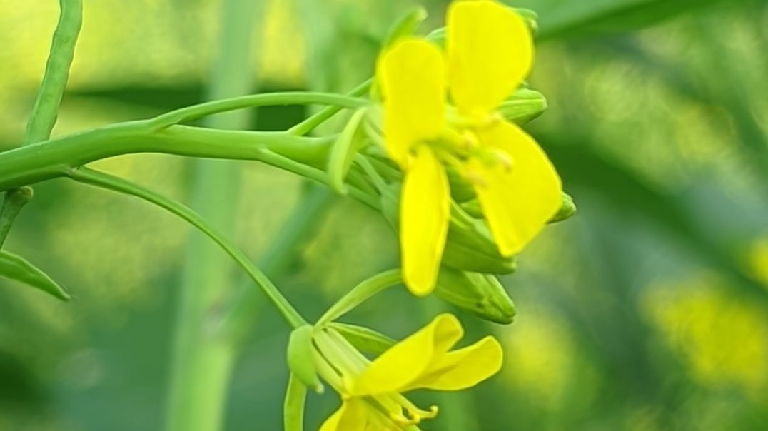 ⁣Travel and transport 🚛