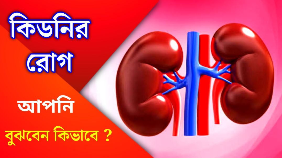 কিডনির সমস্যা বোঝার উপায় | Kidney Pain