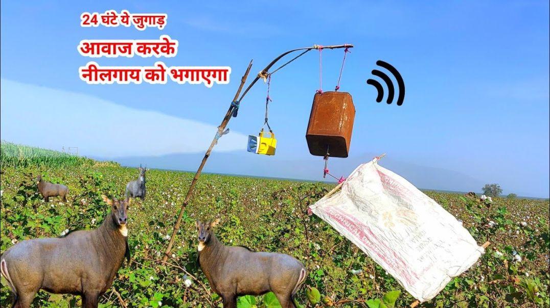 ⁣यह जुगाड़ आवाज भी करेगा और रात में खेतों में लाइट भी करेगा _ Dual use solution for Crops _ Jugaad __