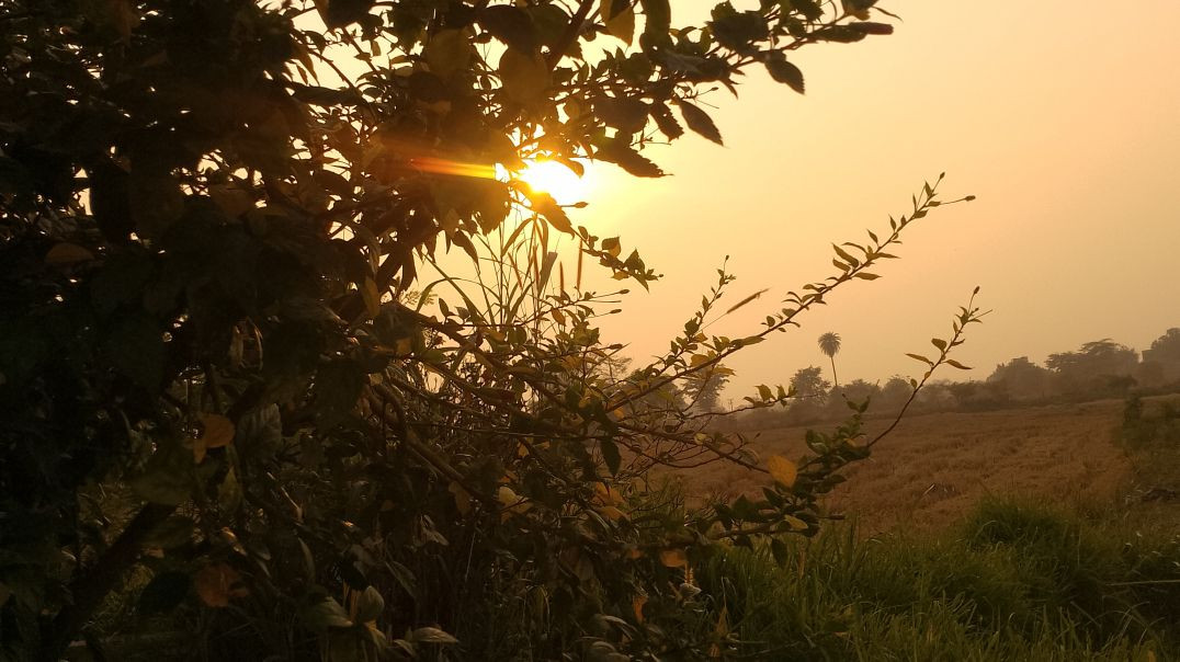 VID_20251208_195408_696