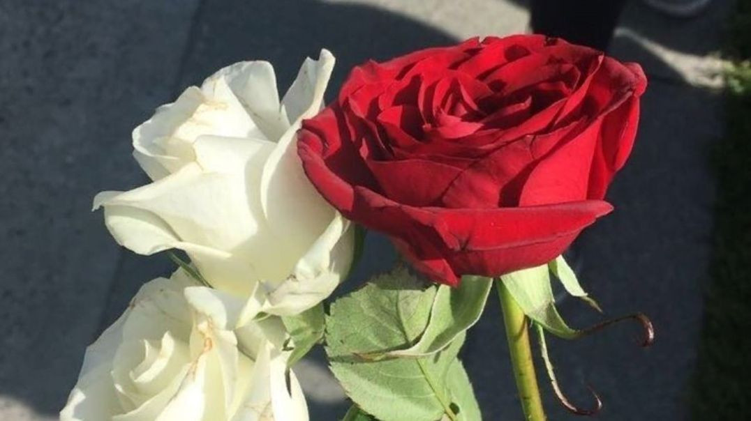 VID_20251218_202130_816