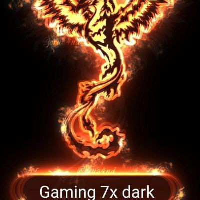 117703474141067581210 