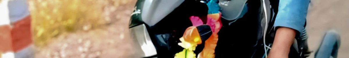 116076786049802846037 