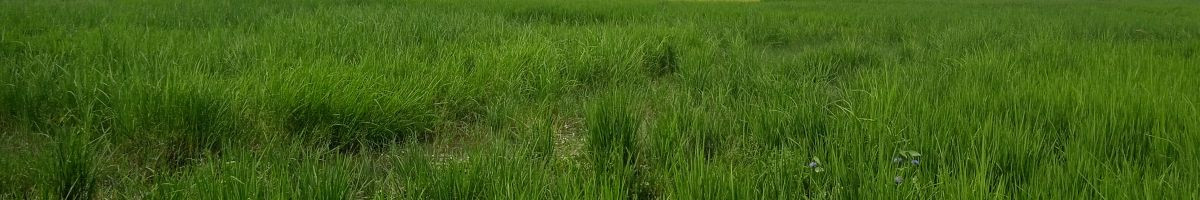 114166825659039218094 