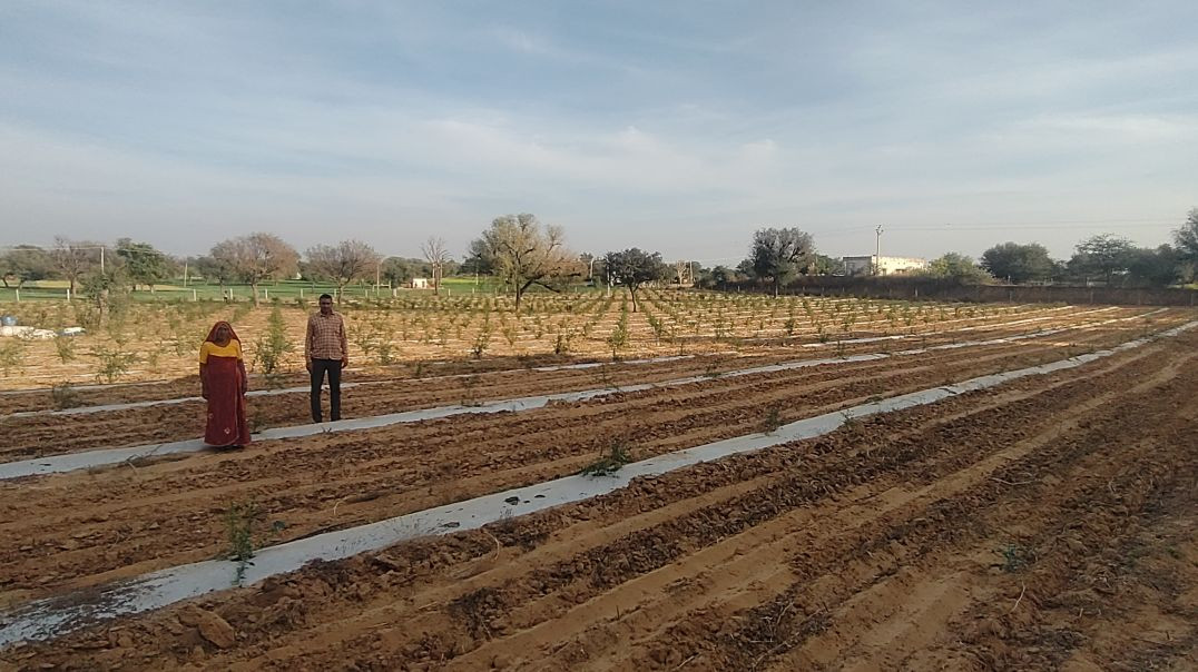 खेती किसान उद्यान