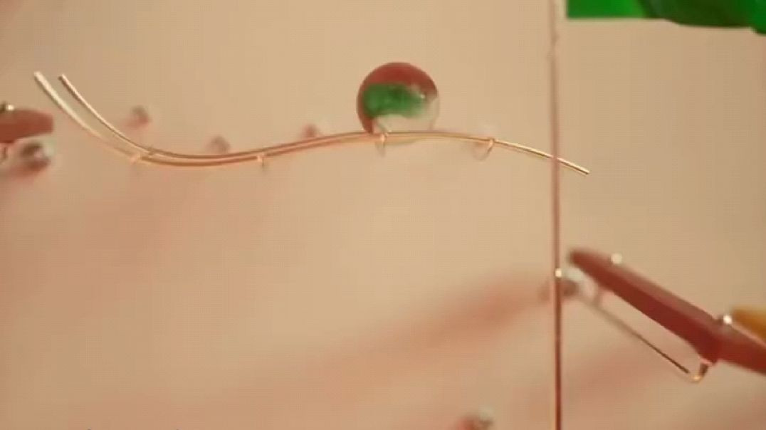 ⁣Video #new music viral contact please subscribe