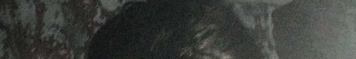 111902906891970412768 