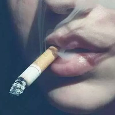 moviebajarApp moviebajarApp