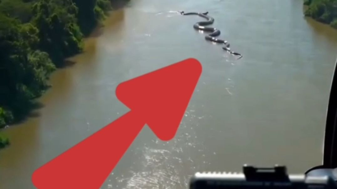 ⁣Amazon jungle ke rahsymy ☠️😱 horror video 📷 क्लिप