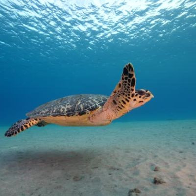 100123086231222080795 