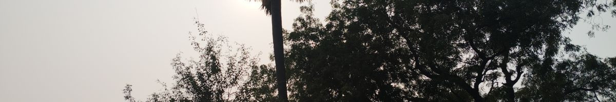 109324036042407395461 