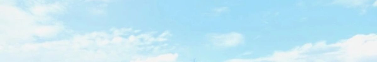 43c7ff501