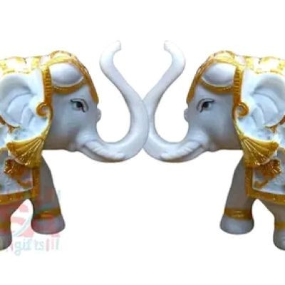 Food beauty And lifestyle