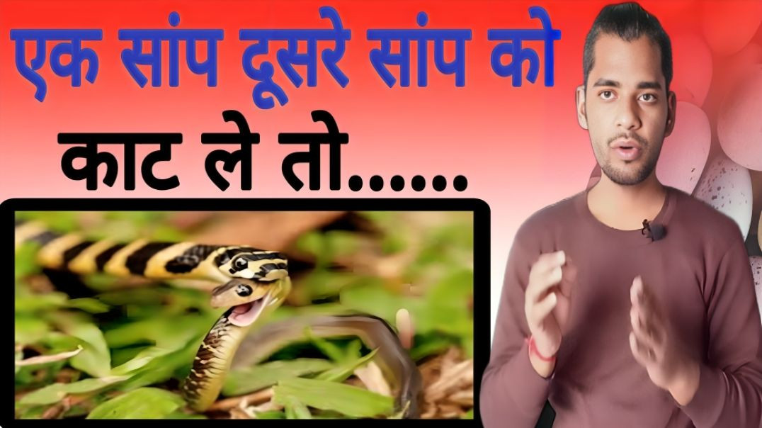 ⁣1 saanp dusare saanp ko kaat le to | Snake | Bite | AC Prashant