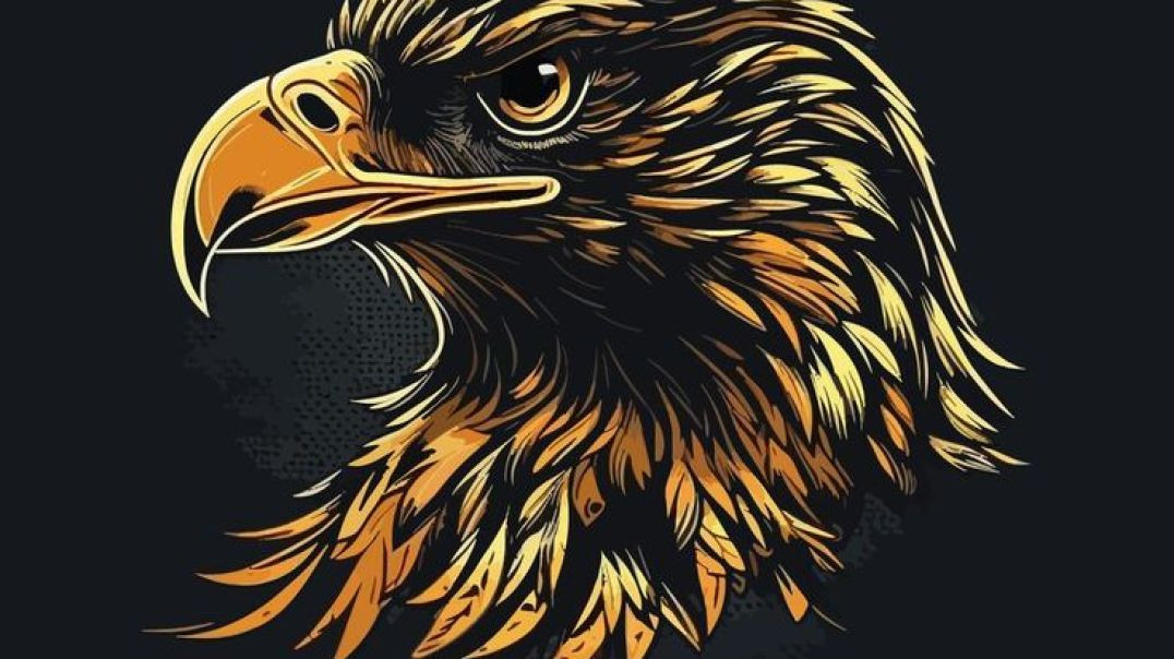 VID_20251208_060425_055