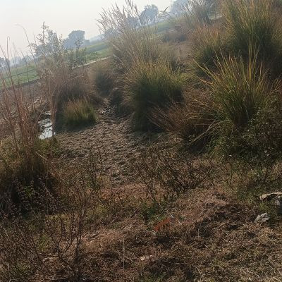 @bajarang_dal @bajarang_dal