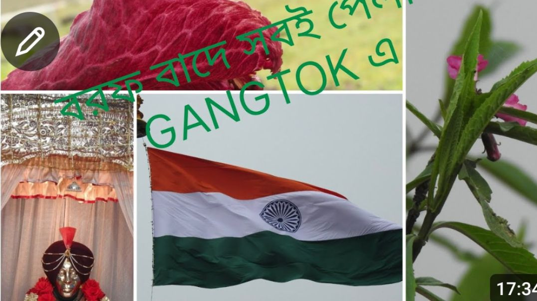 GANGTOK PART -2(360P)