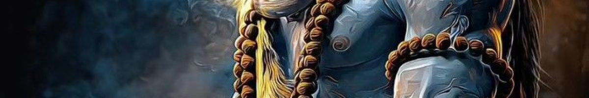 114234838428801354662 