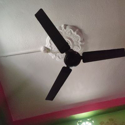 106002116594429639608 