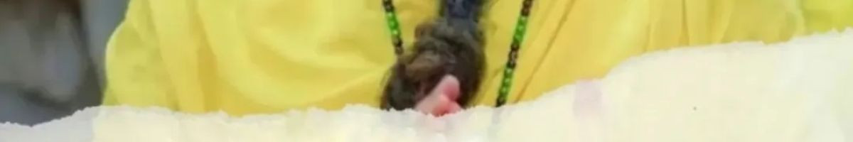 114342414526725918196 