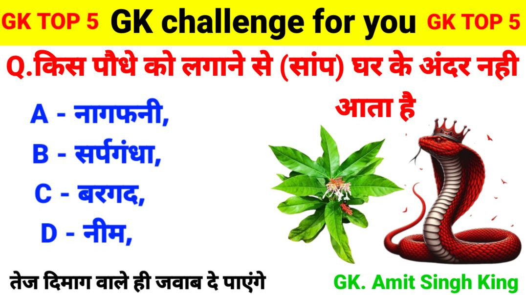 ⁣GK Questions | GK In Hindi | GK Question and Answer | GK Quiz | General Knowledge | Gk | Gkquiz | GK