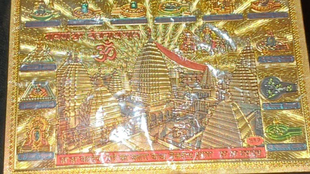 VID_20251129_224150_686_bsl