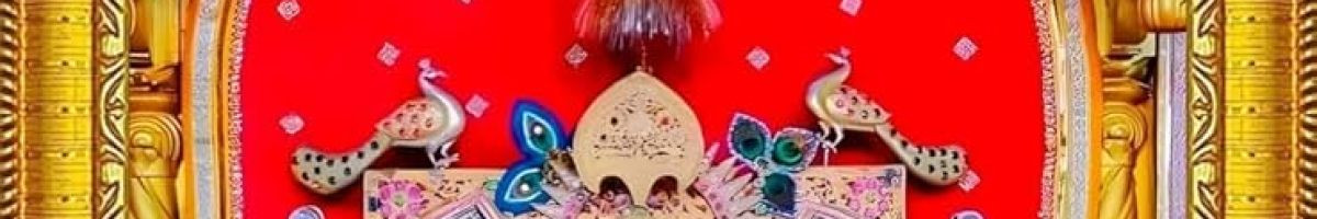 yash_vlog_mp41 yash_vlog_mp41