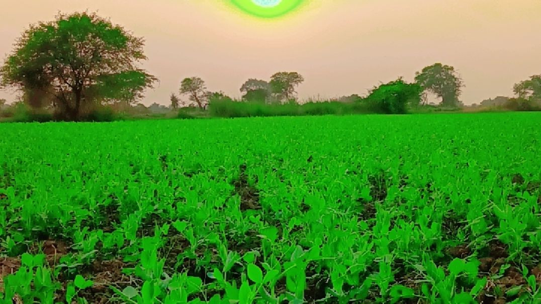 ⁣_storage_emulated_0_Android_data_com