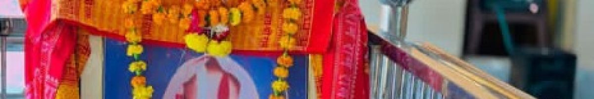 111605617812725673461 