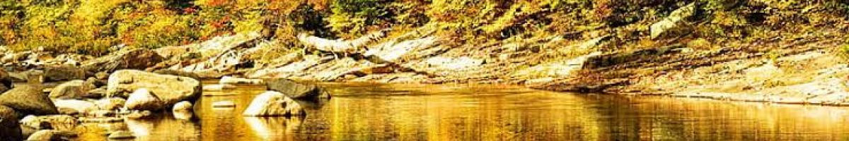 101791357972594127447 