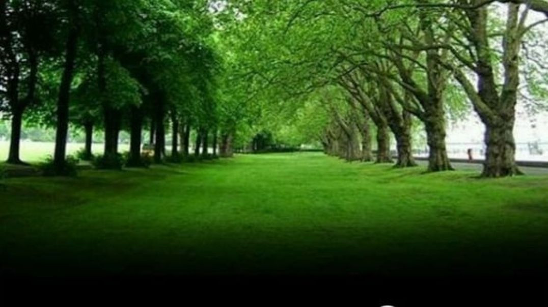 ⁣भारत का हरा भरा#shorts#trending#viral shots#apna tube