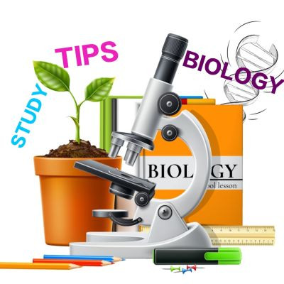studytipsbiology