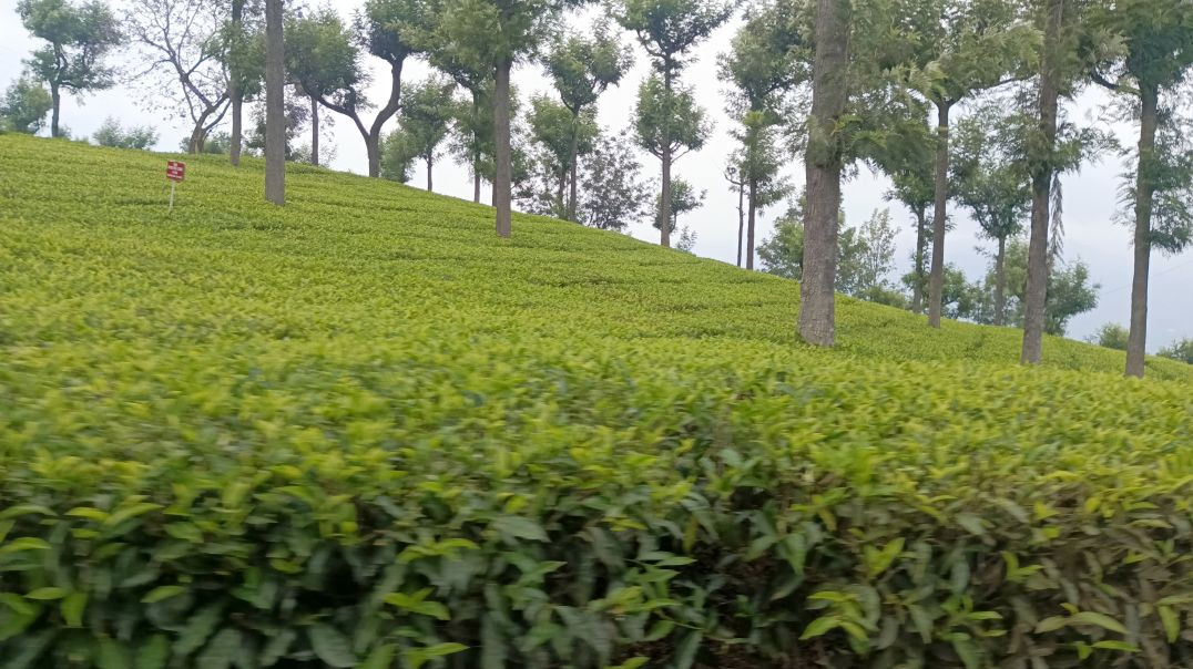 ⁣Duniya jaye bhand mai hum chale pahad mai