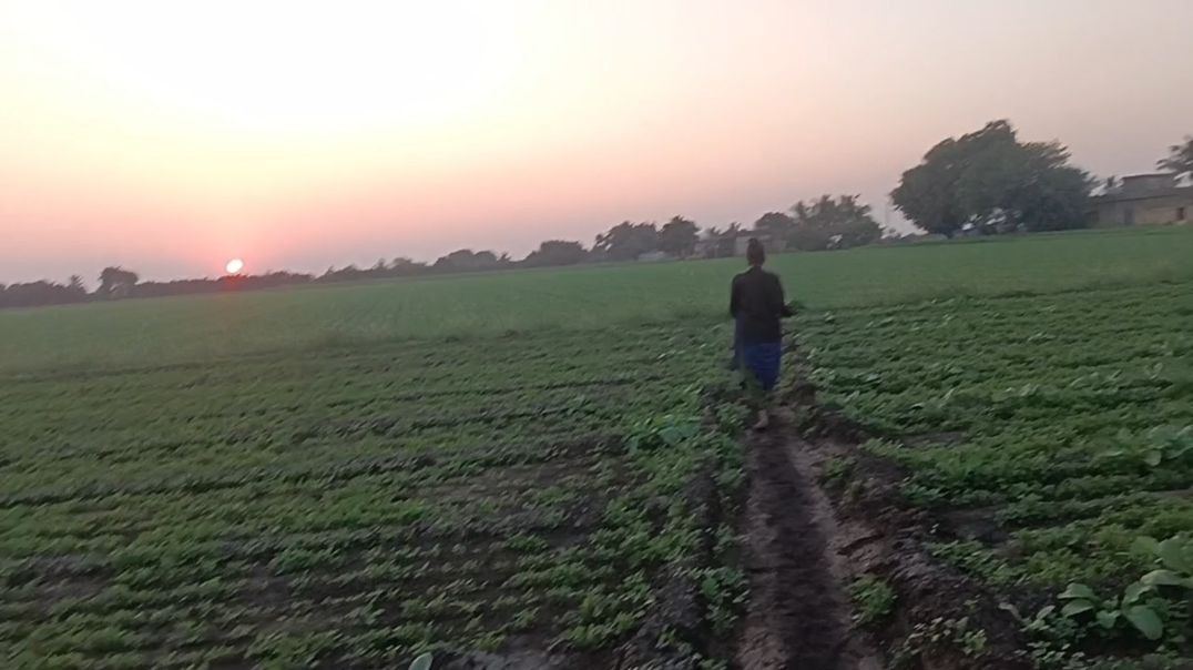 ⁣आज हम खेत में निंद्रा लालू सोलंकी ब्लॉक